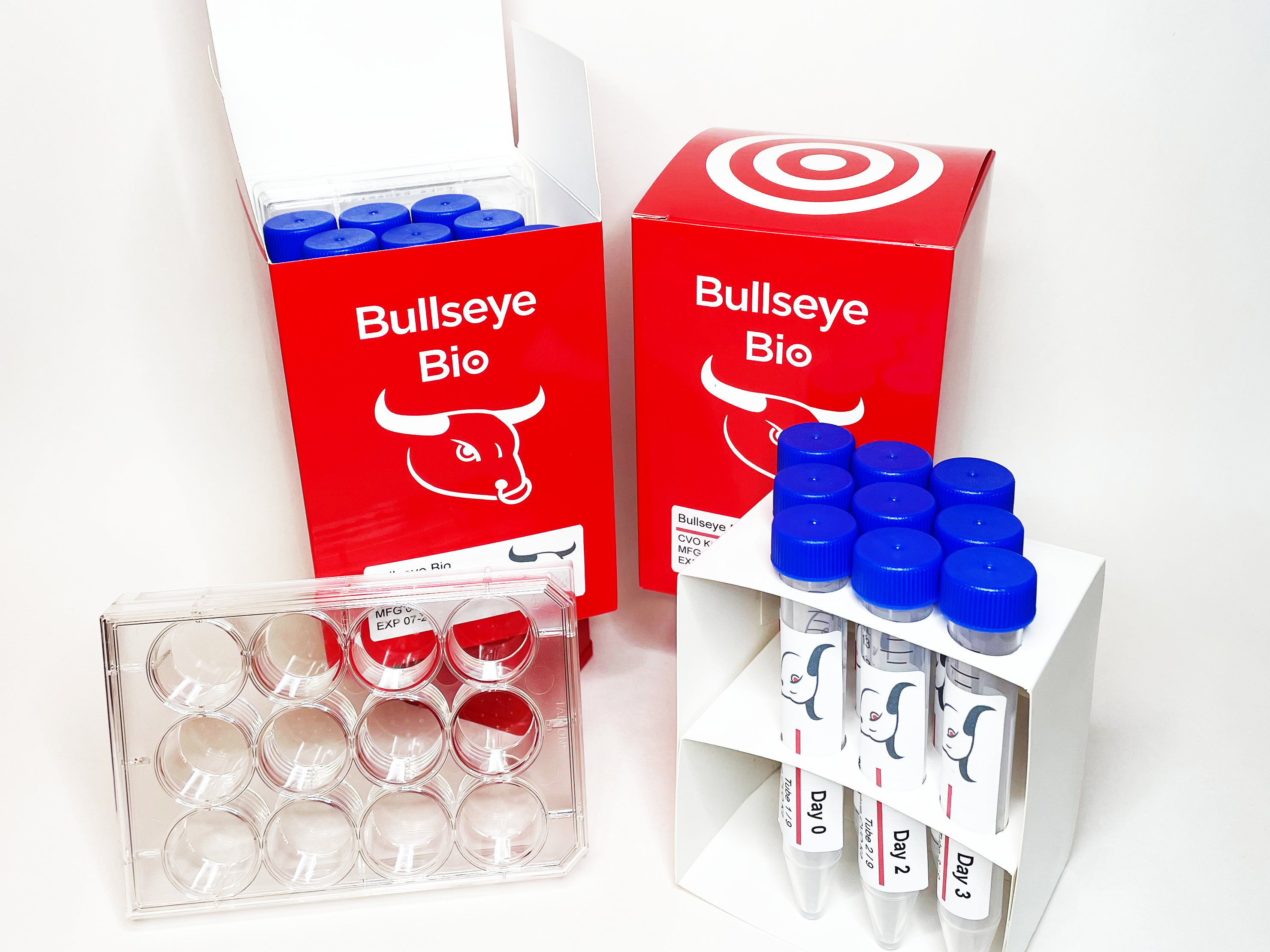 Organoid Differentiation Kit