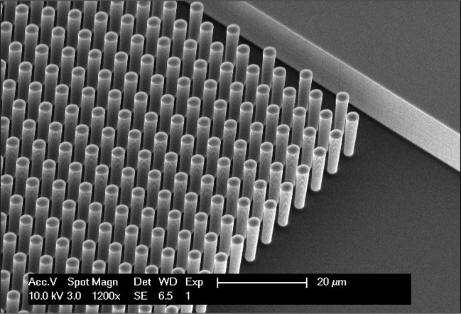 Microfluidic Cellular "Jungle Gyms"